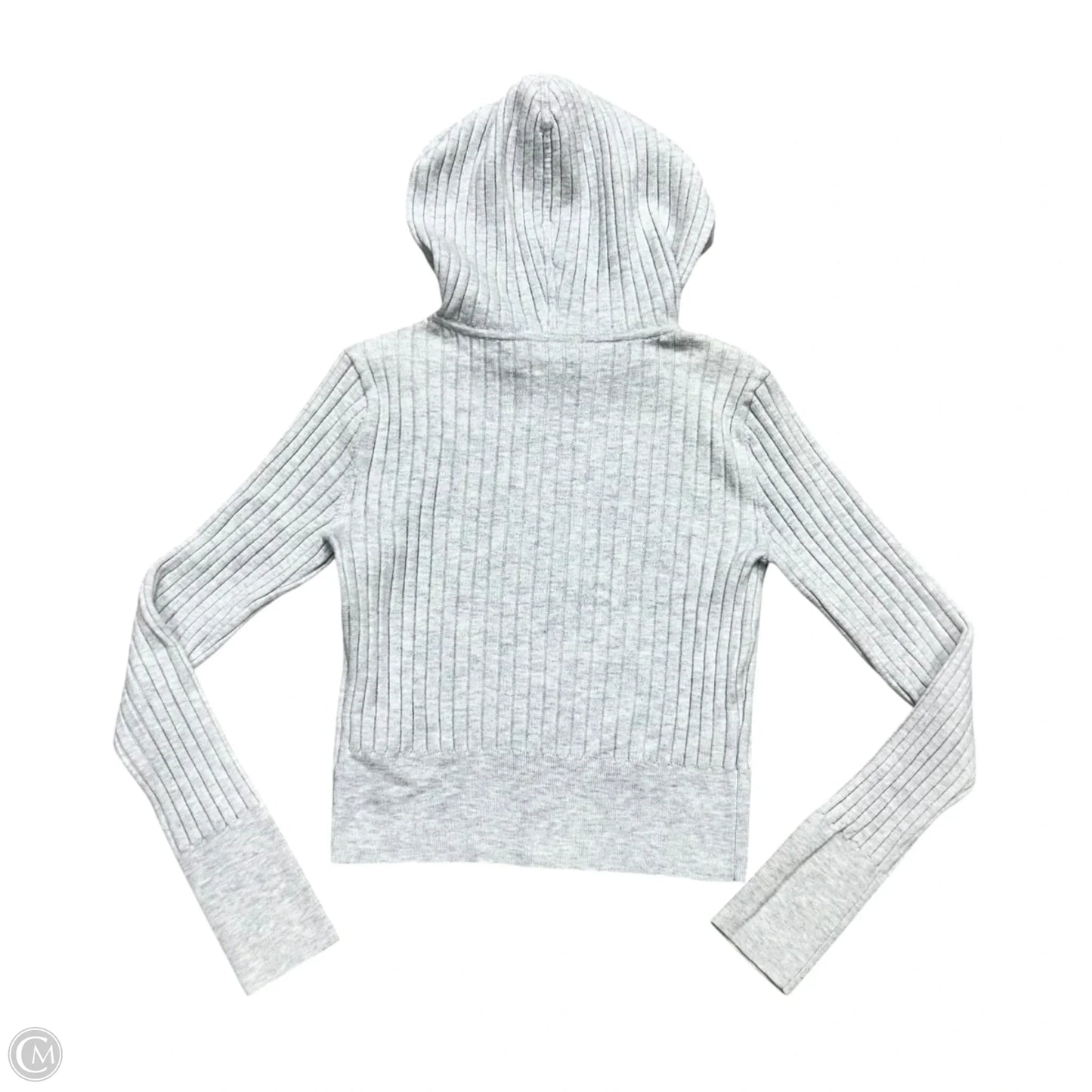 Sweatshirt Hoodie By Aerie In Grey, Size: M