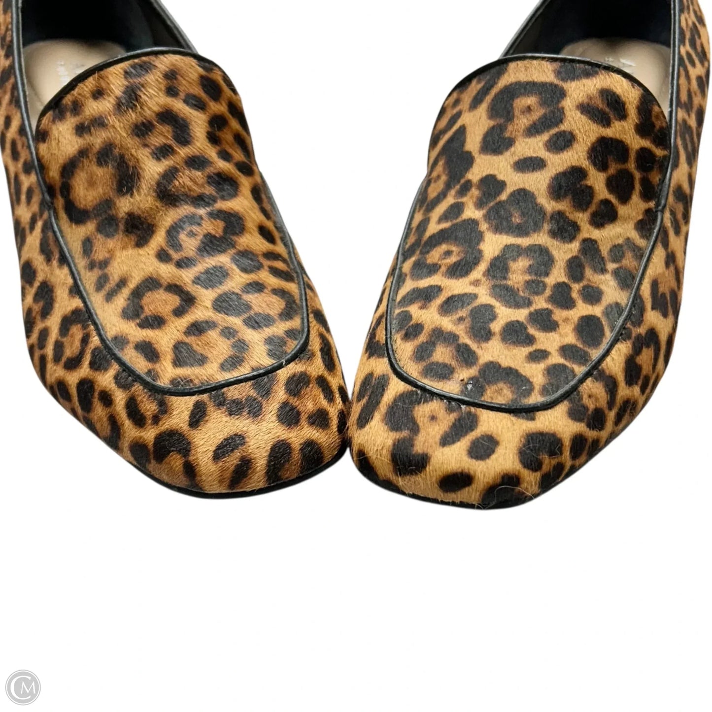 Shoes Heels Block By Alfani In Leopard Print, Size: 8.5