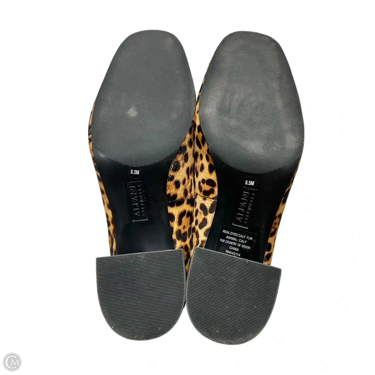 Shoes Heels Block By Alfani In Leopard Print, Size: 8.5