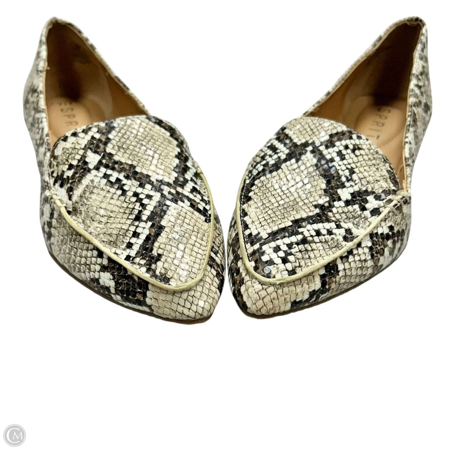 Shoes Flats By Esprit In Snakeskin Print, Size: 7.5