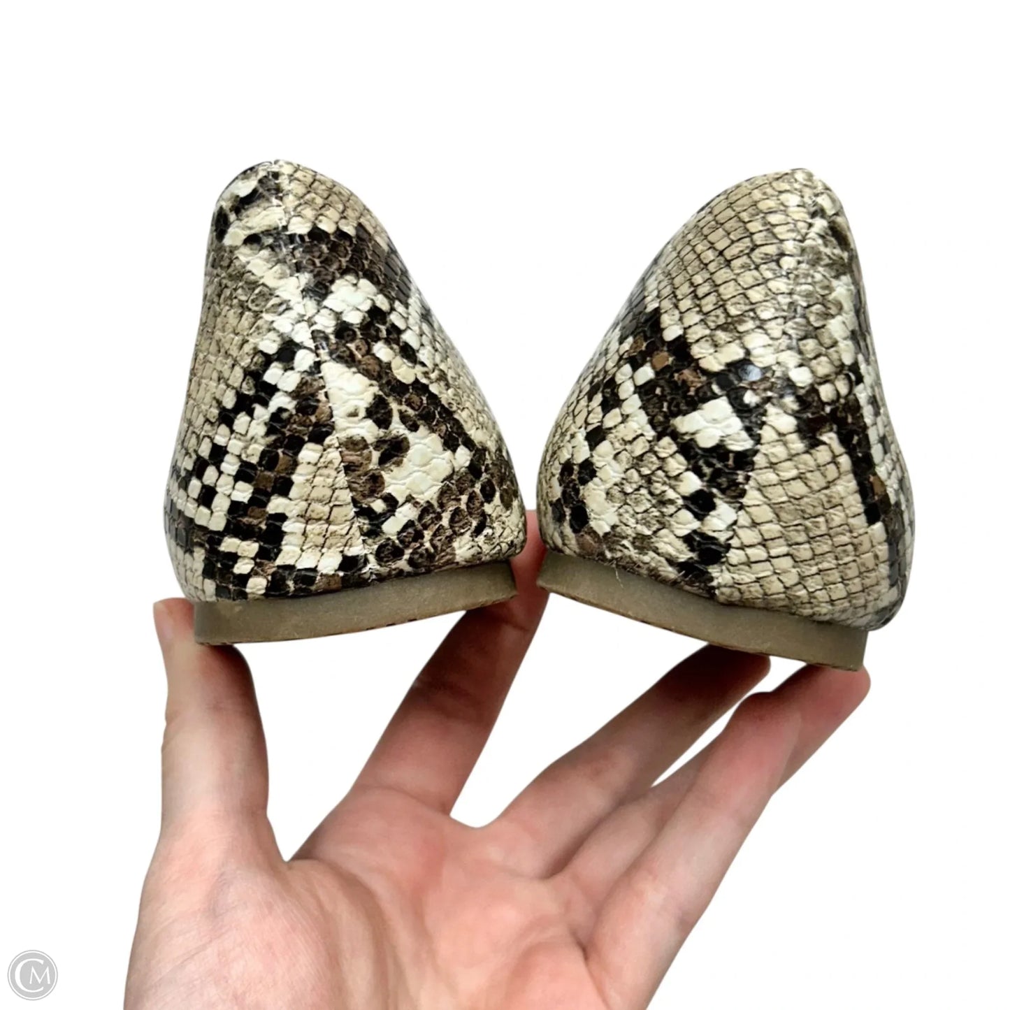 Shoes Flats By Esprit In Snakeskin Print, Size: 7.5