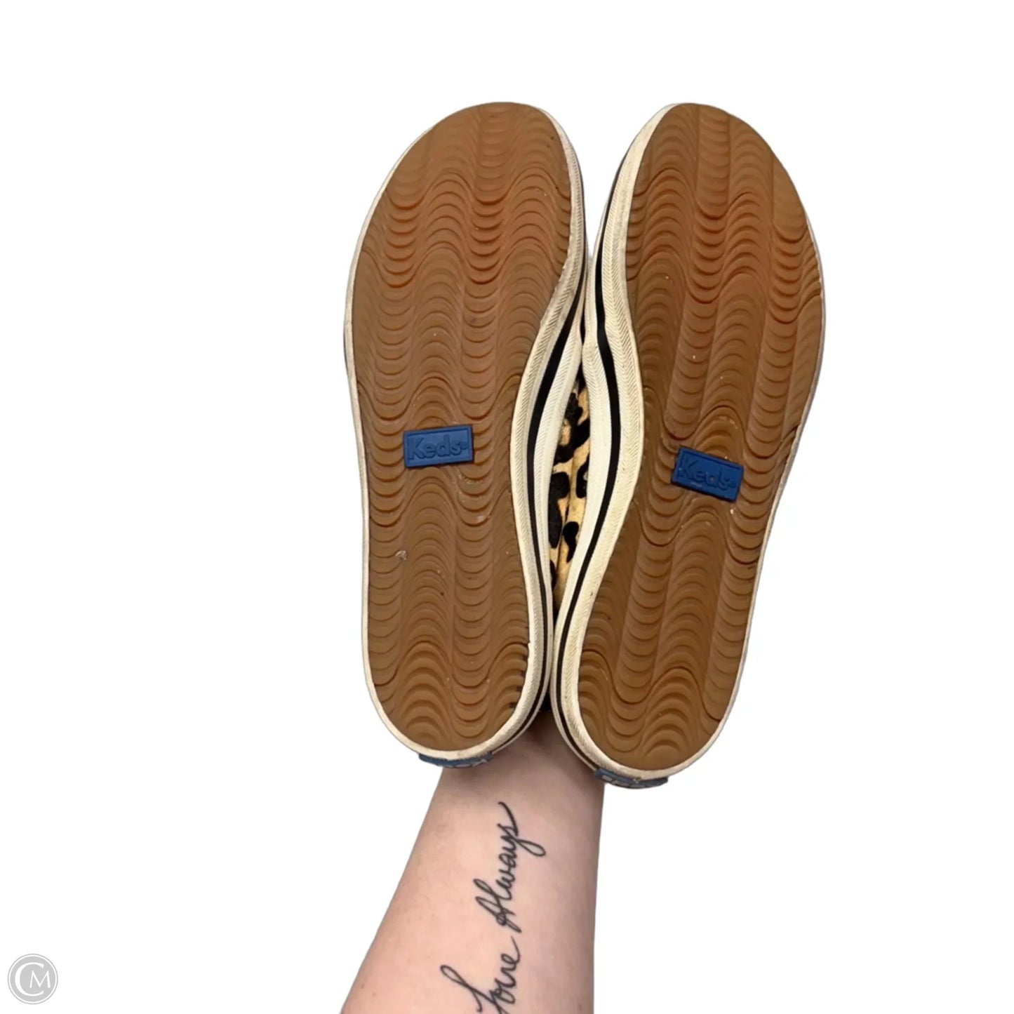 Shoes Flats By Keds In Leopard Print, Size: 7.5