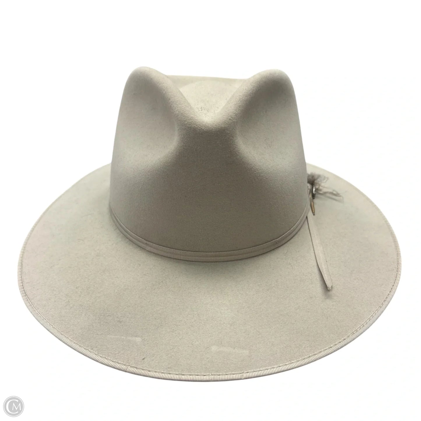 Hat Fedora By Stetson