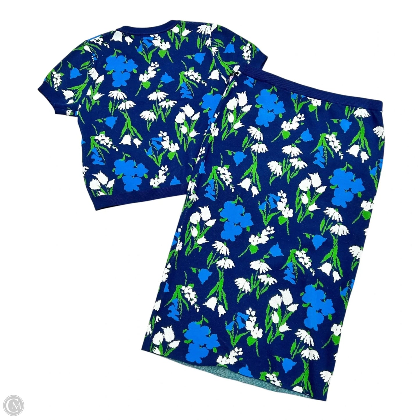 Skirt Set 2pc By Target-designer In Blue & Green, Size: L