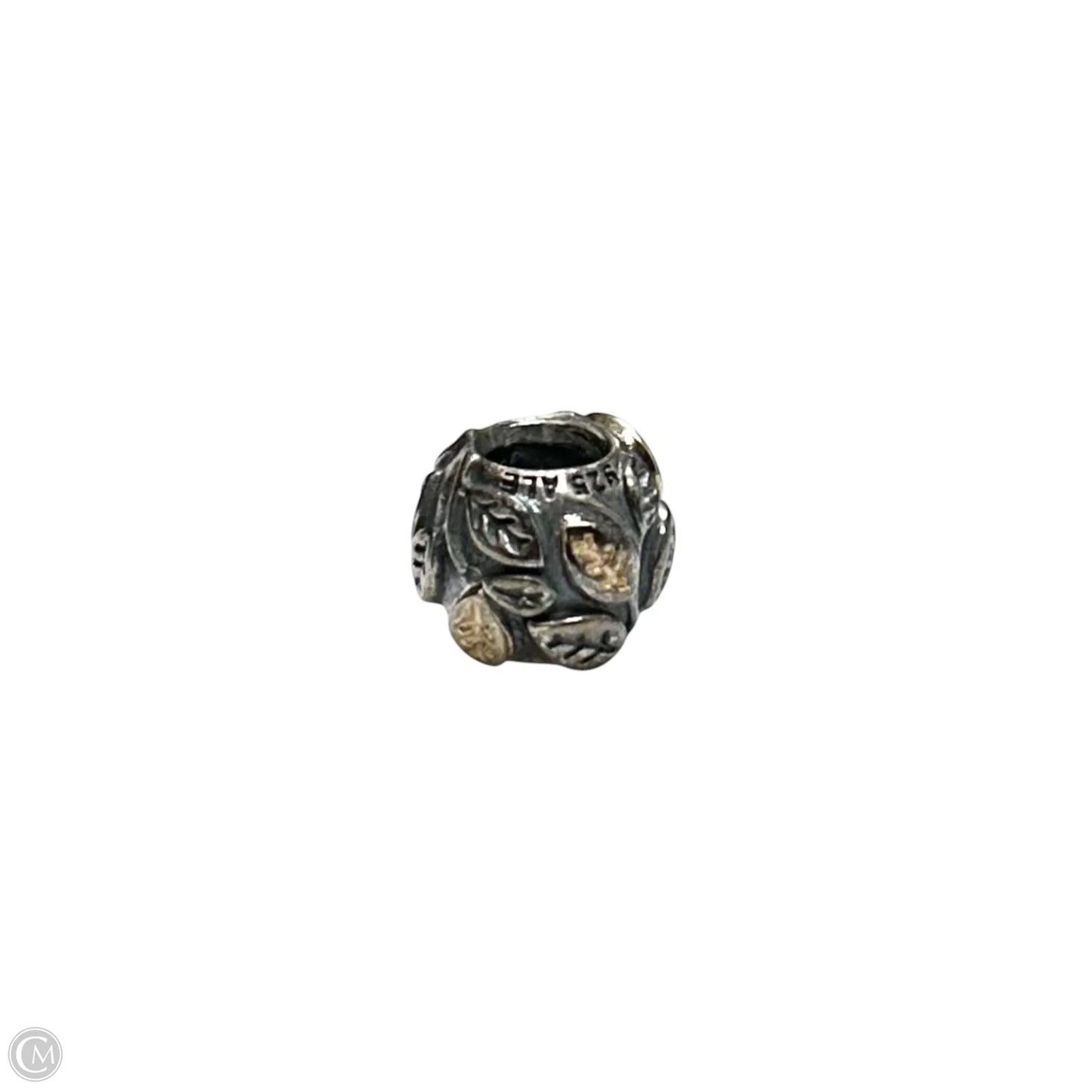 Jewelry Charm By Pandora