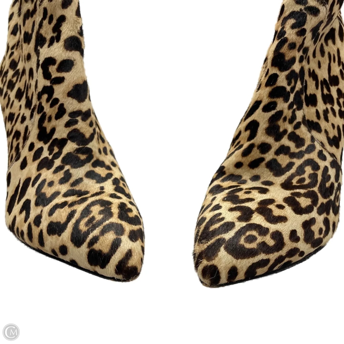 Boots Ankle Heels By Sam Edelman In Leopard Print, Size: 5.5