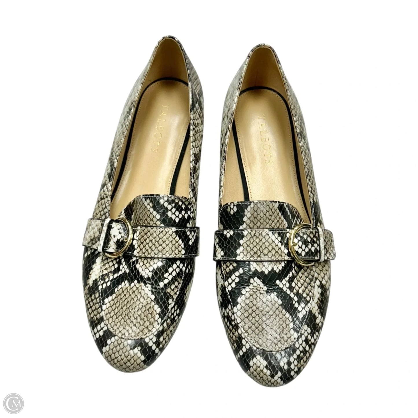 Shoes Flats By Talbots In Snakeskin Print, Size: 10