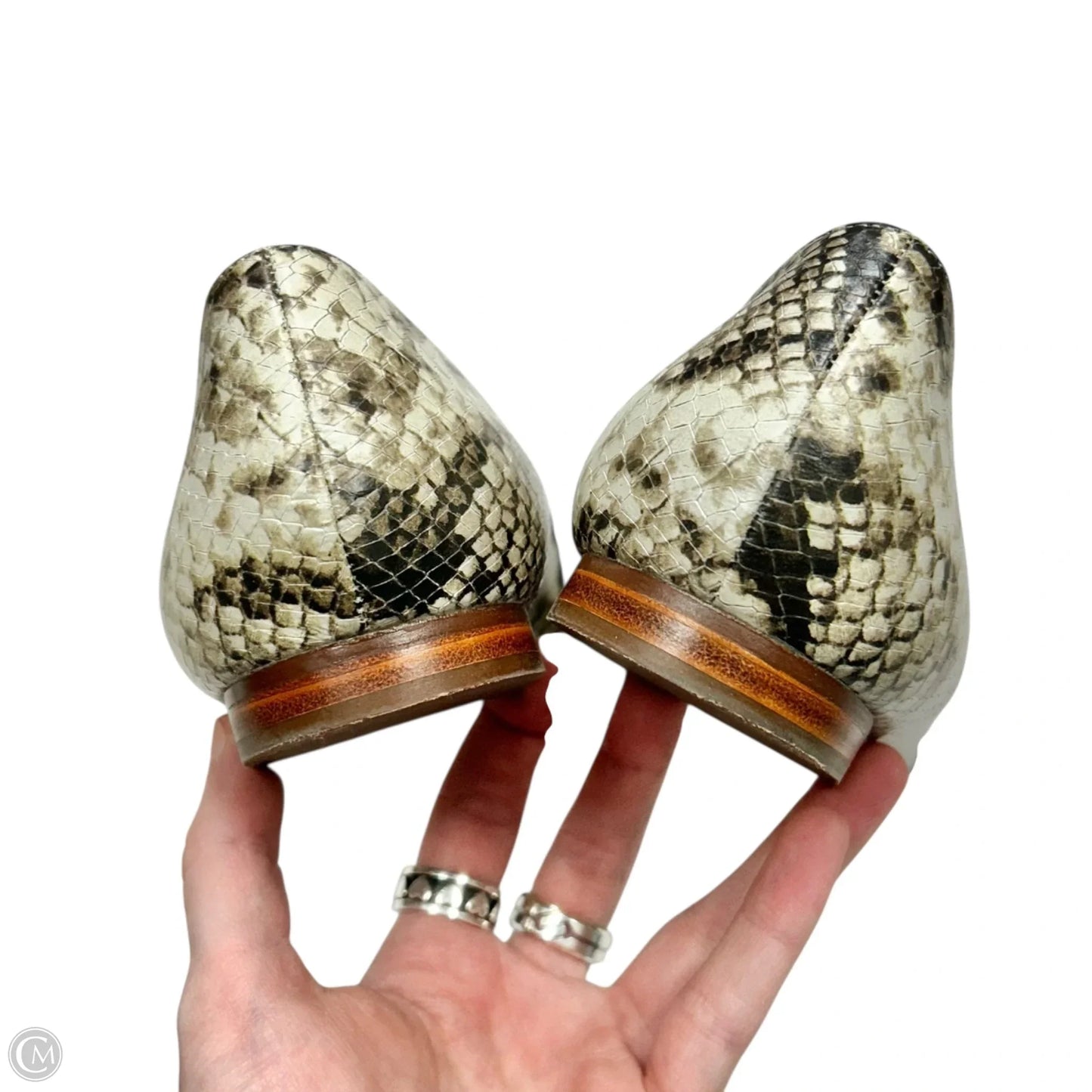 Shoes Flats By Talbots In Snakeskin Print, Size: 10