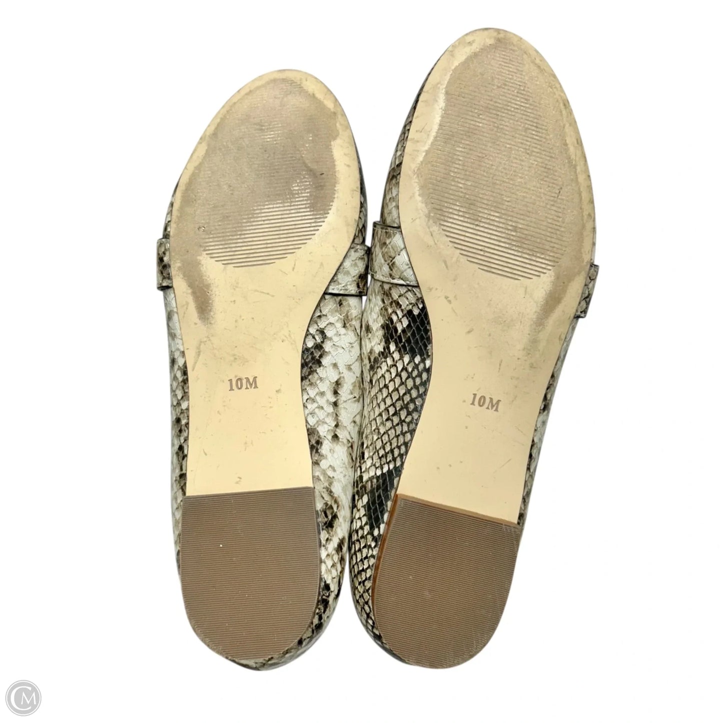 Shoes Flats By Talbots In Snakeskin Print, Size: 10