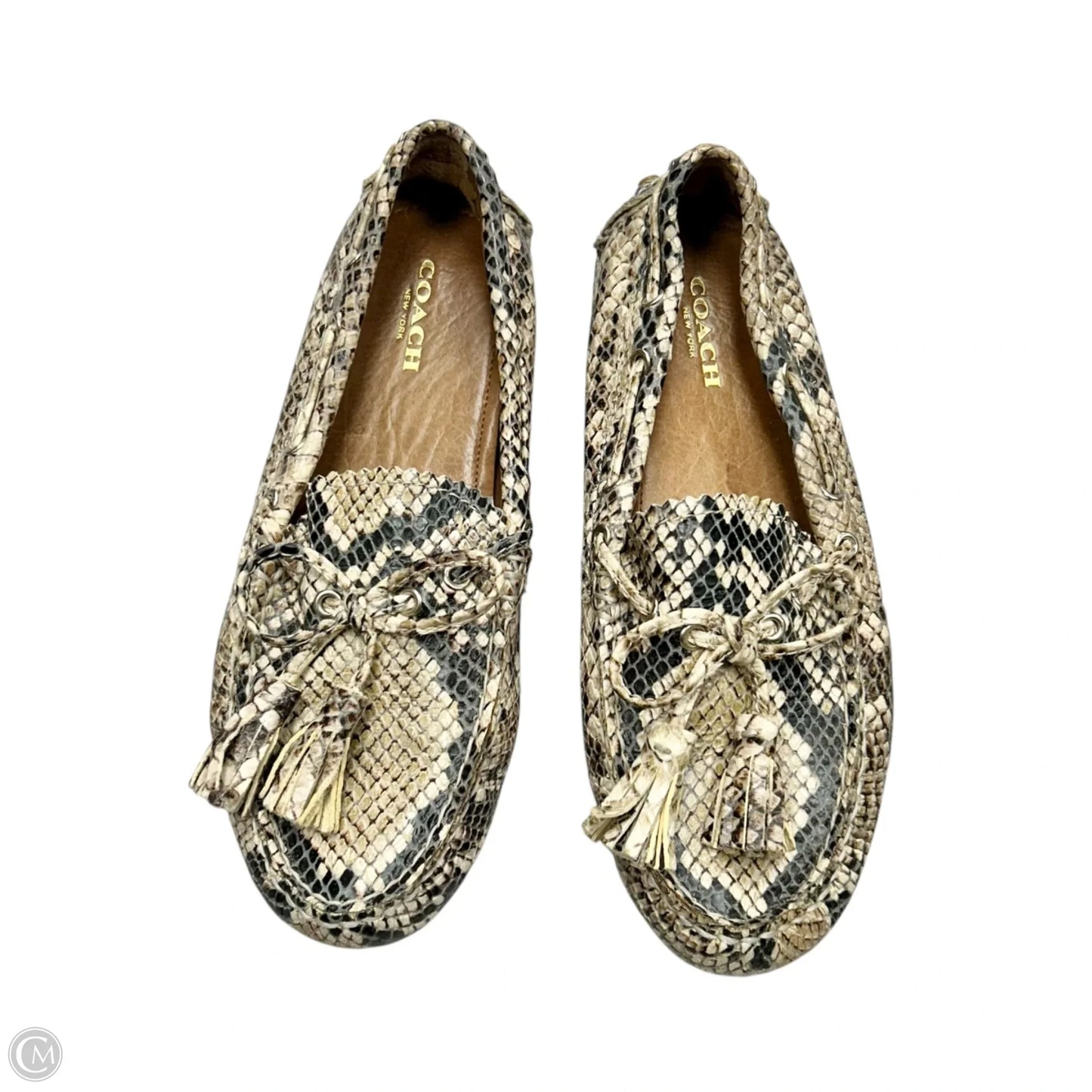 Shoes Designer By Coach In Snakeskin Print, Size: 5