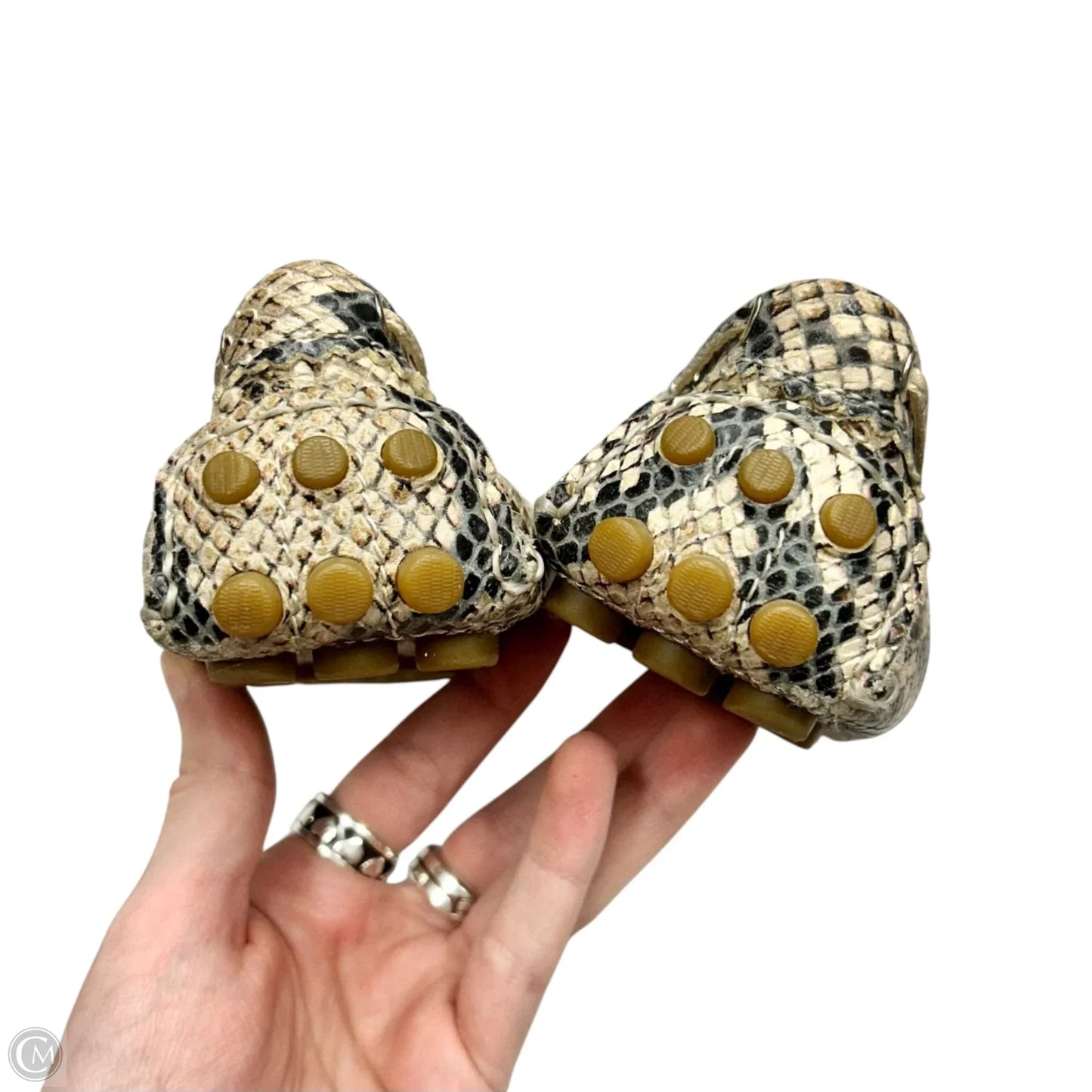 Shoes Designer By Coach In Snakeskin Print, Size: 5