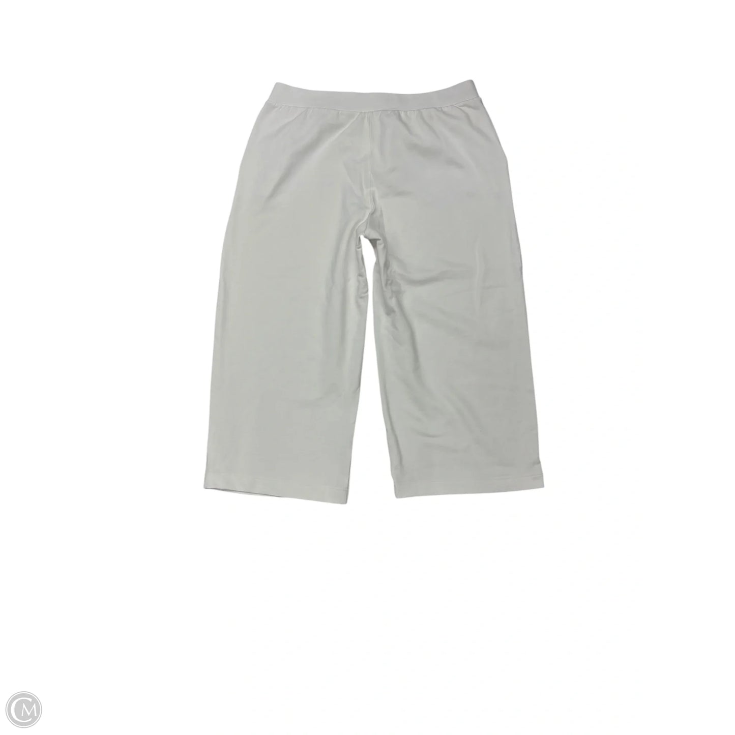 Athletic Pants By Haven In White, Size: Xxl