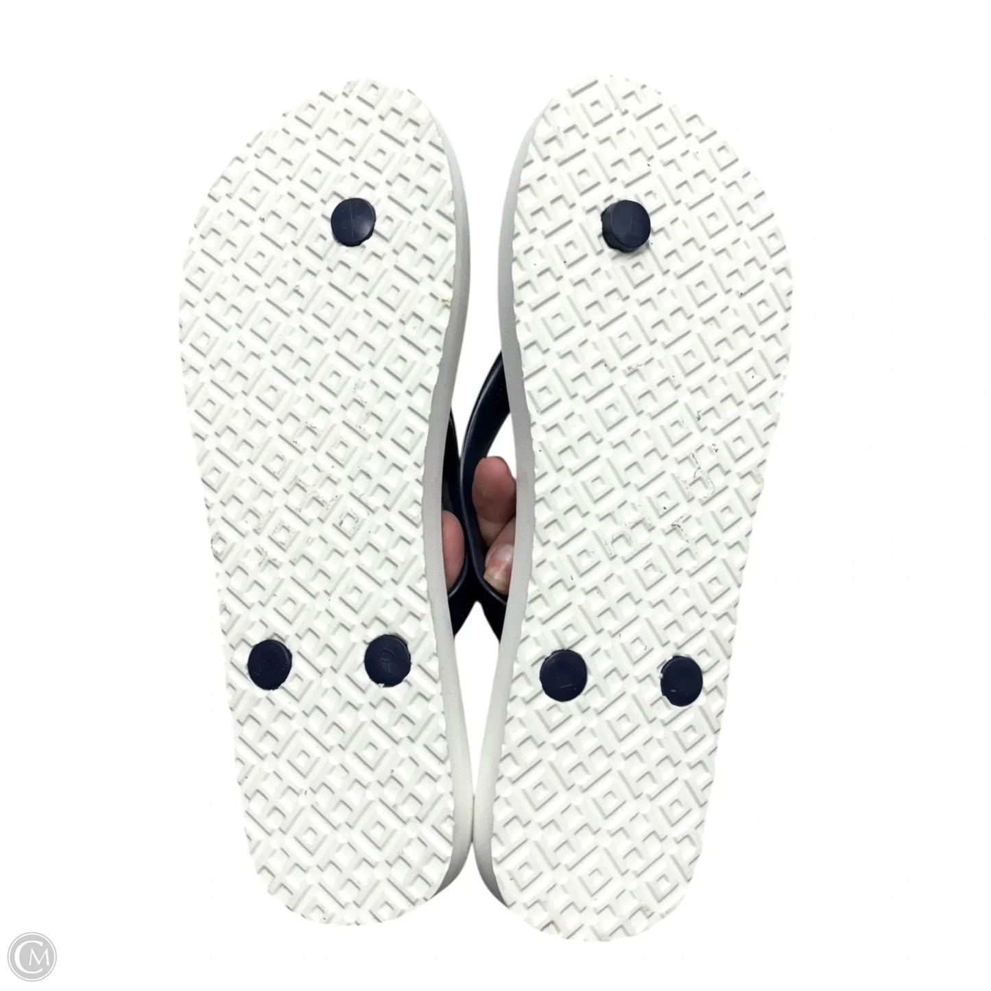 Sandals Designer By Tory Burch In Blue, Size: 7.5
