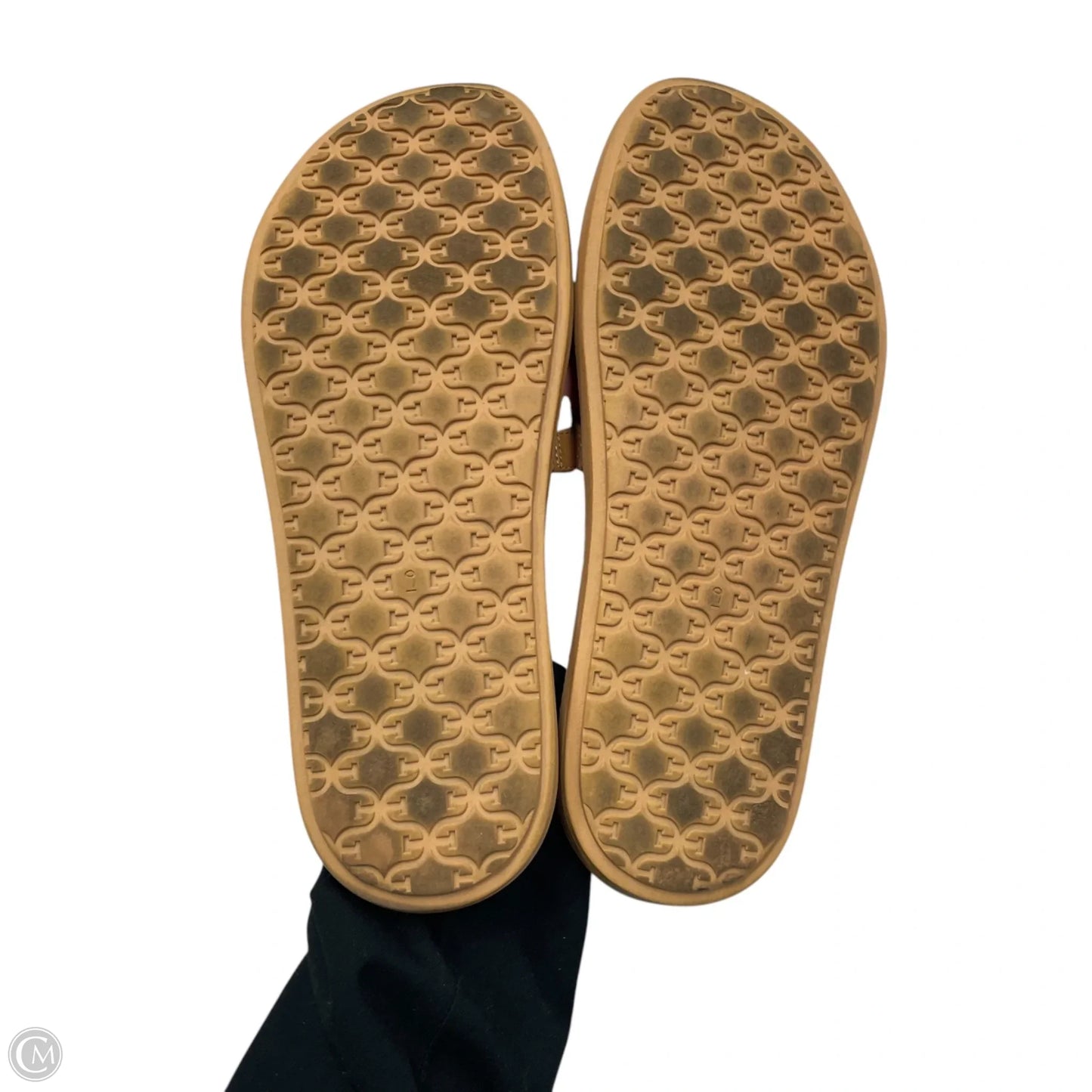 Sandals Flats By Sam Edelman In Tan, Size: 9