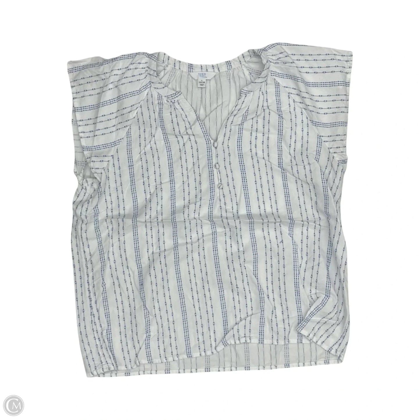Blouse Short Sleeve By Time And Tru In Blue & White, Size: L