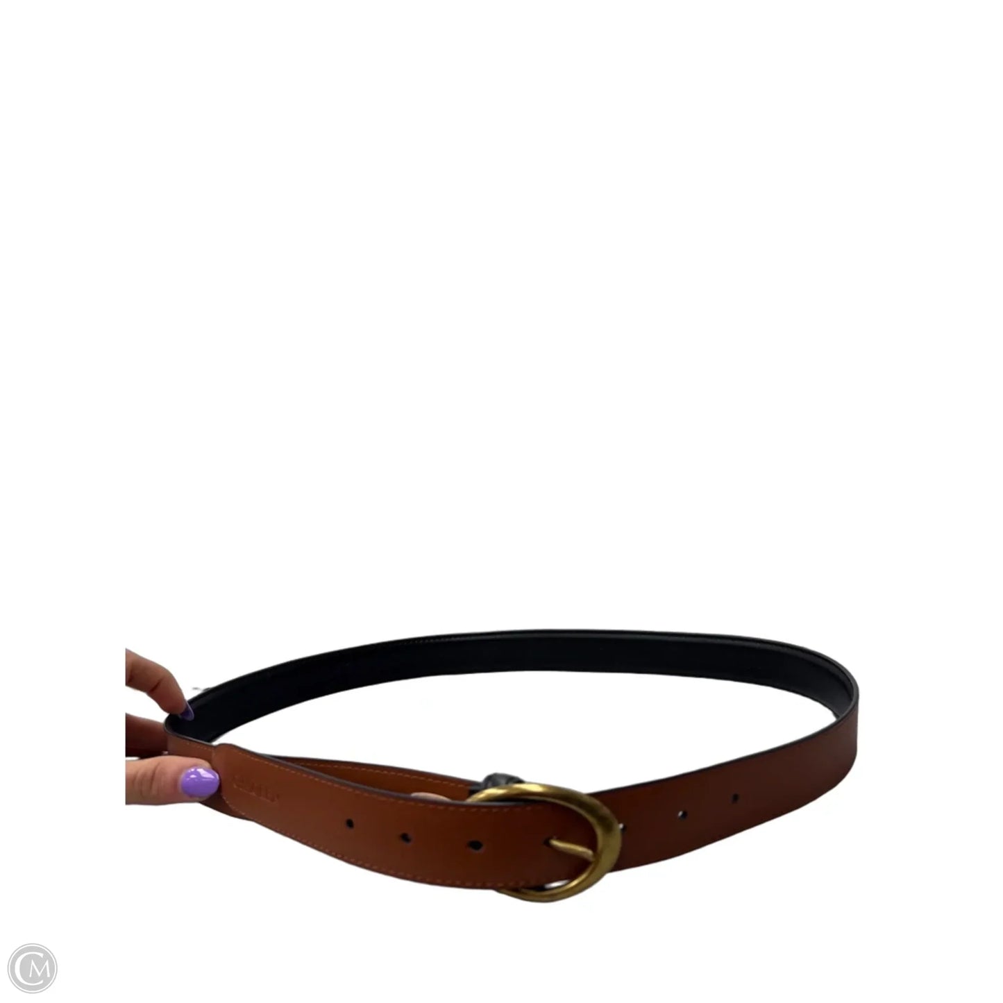 Belt By Clothes Mentor