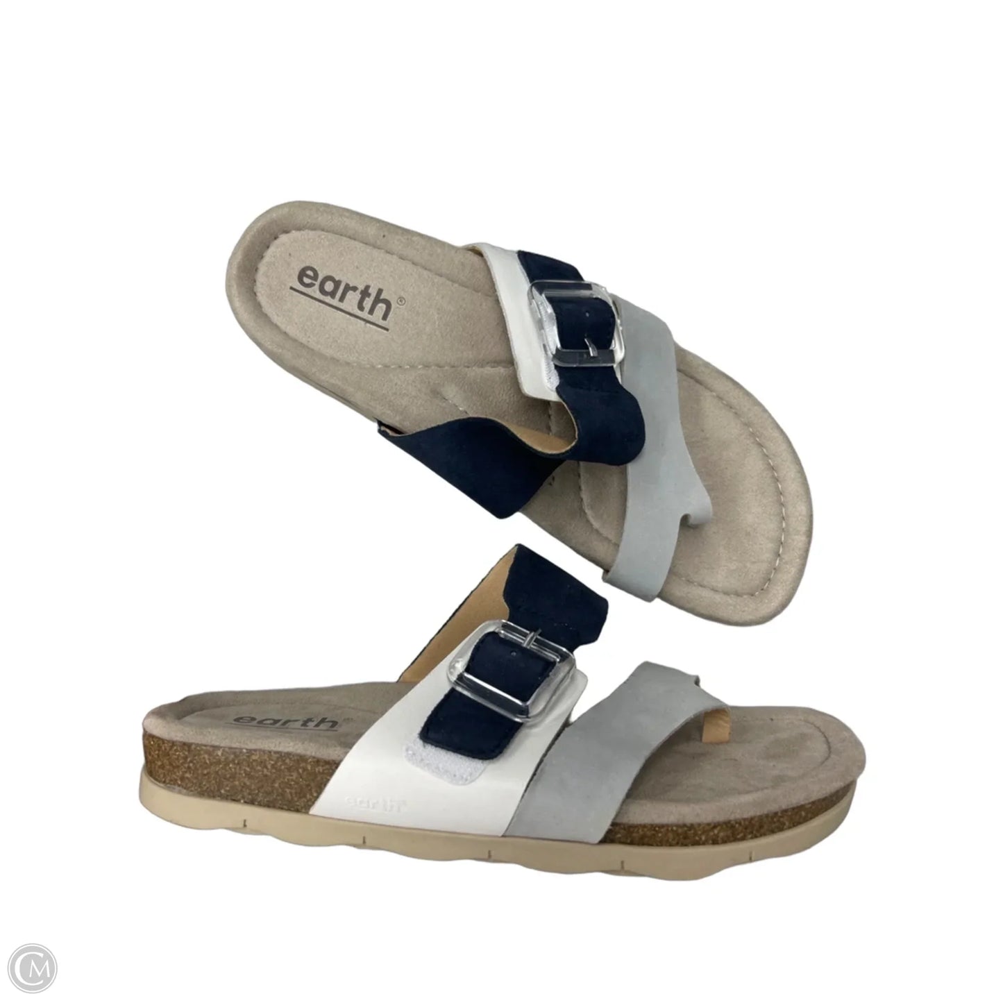 Sandals Flats By Earth In Blue & Grey, Size: 9