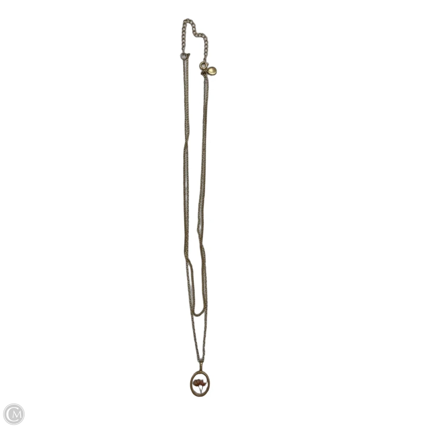 Necklace Layered By Clothes Mentor