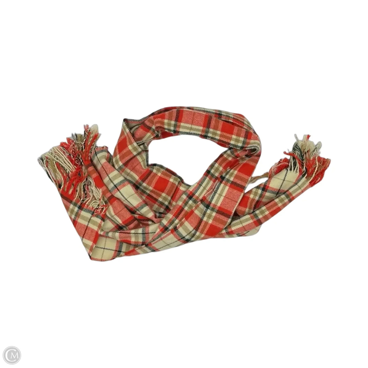 Scarf Winter By J. Crew In Multi-colored