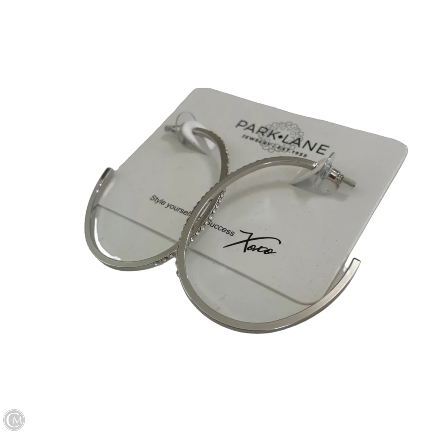 Earrings Hoop By Park Lane