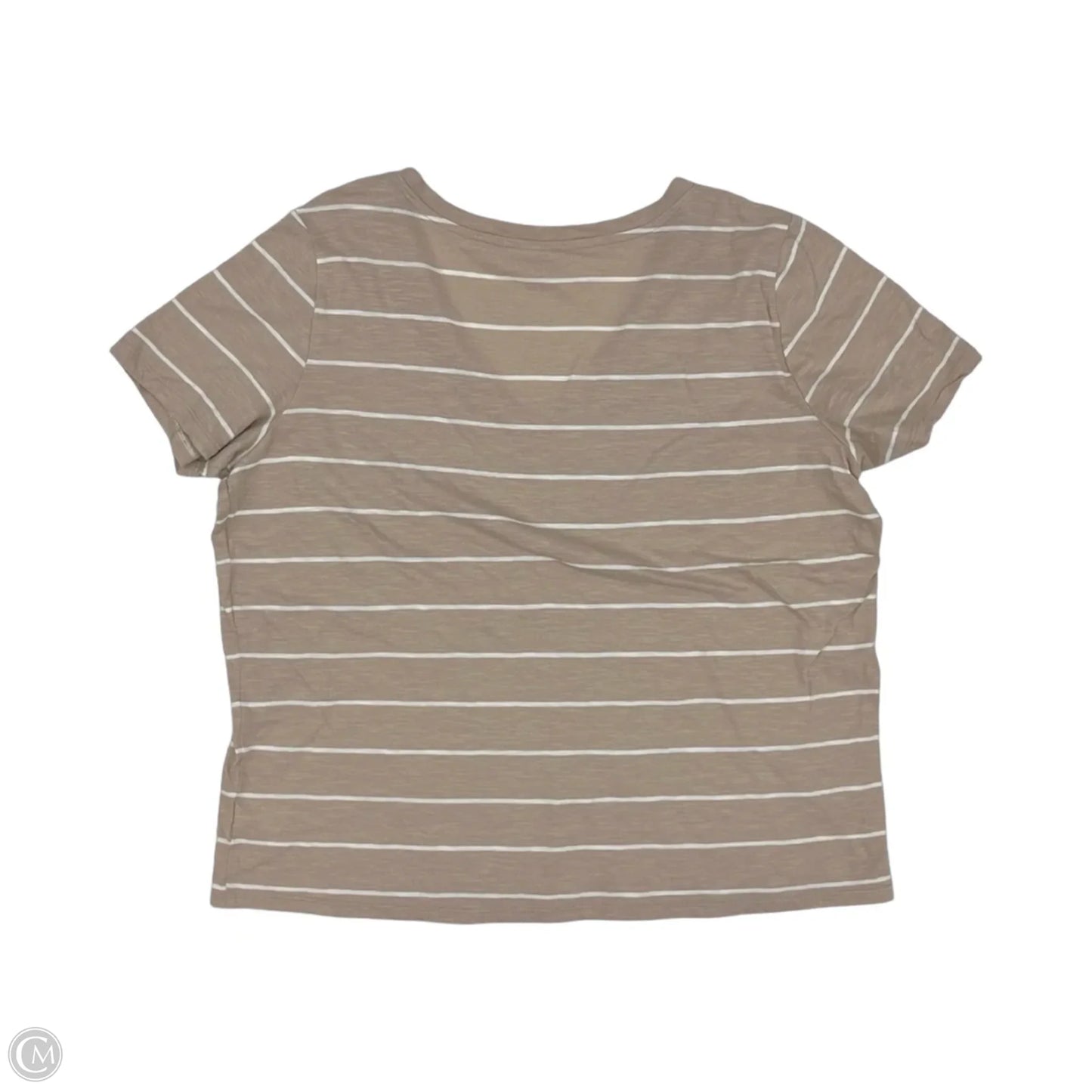 Top Short Sleeve By Ana In Tan & White, Size: Xl