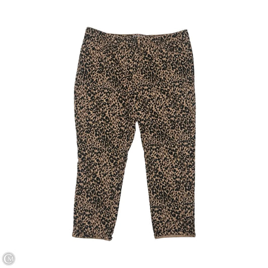 Jeans Straight By Terra & Sky In Leopard Print, Size: 18w