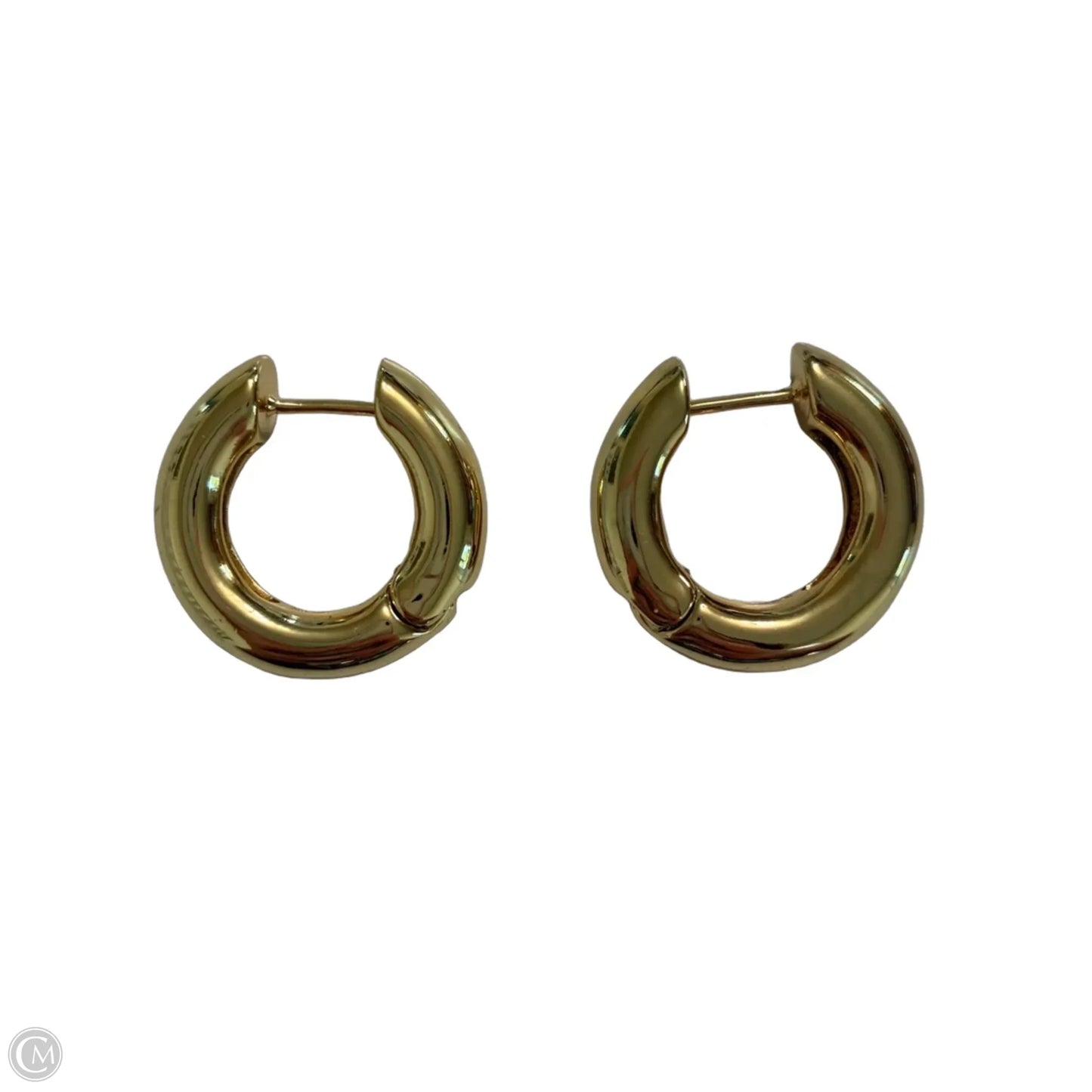 Earrings Hoop By Clothes Mentor