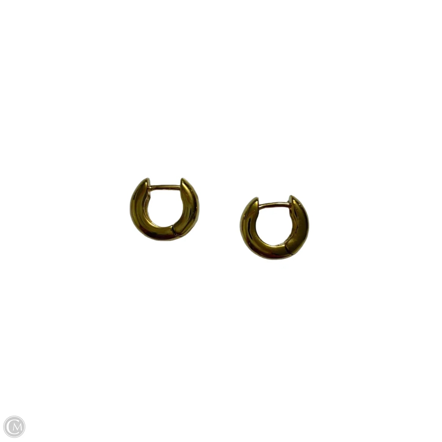 Earrings Hoop By Clothes Mentor