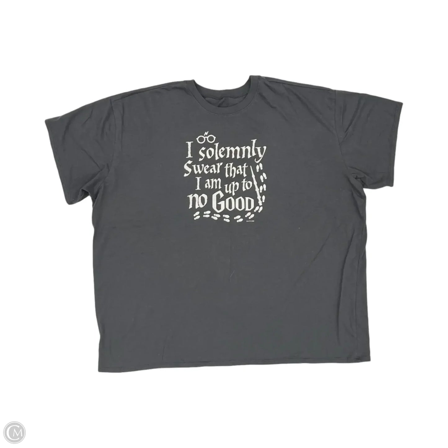 Top Short Sleeve By Clothes Mentor In Grey, Size: 2x