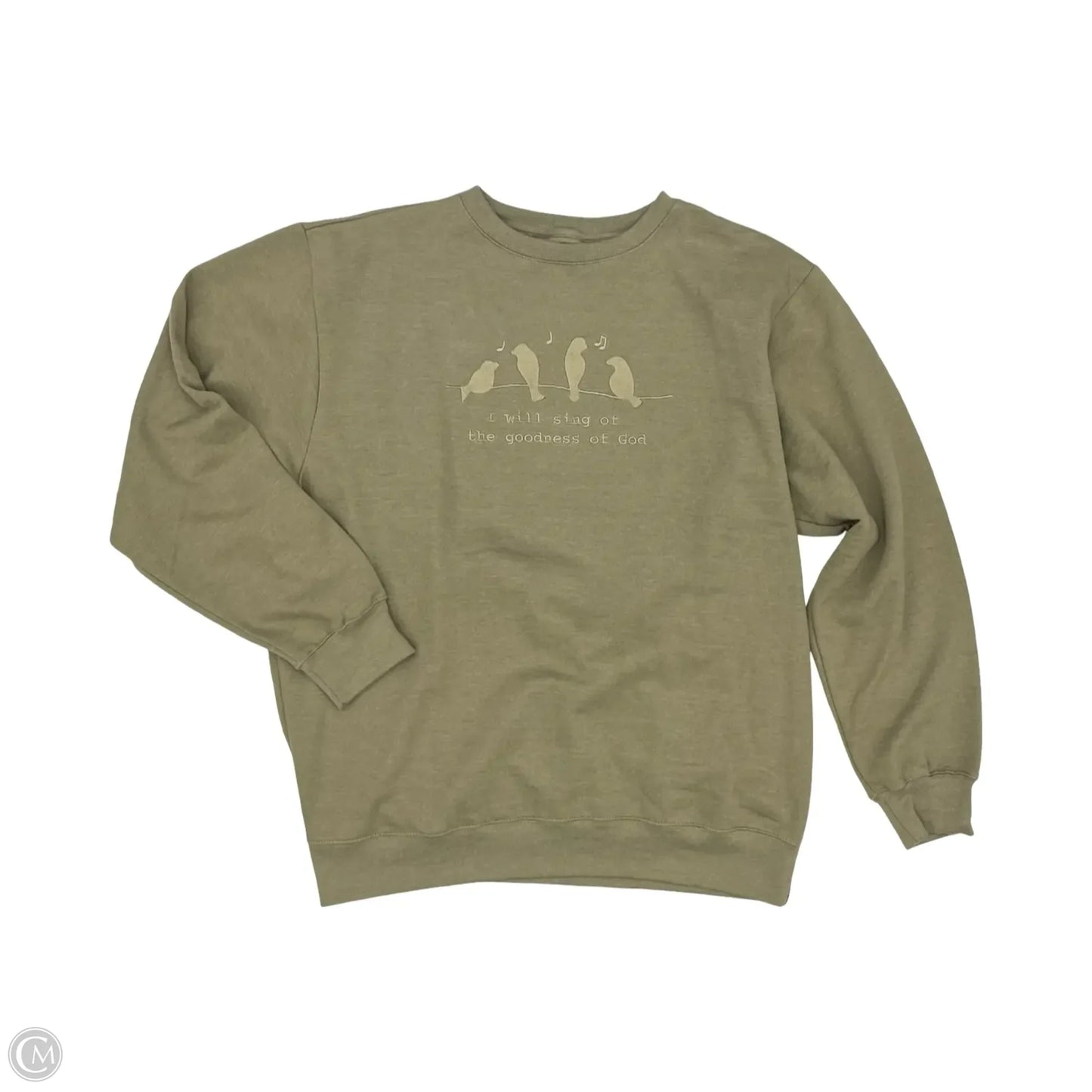 Sweatshirt Crewneck By Clothes Mentor In Green, Size: 2x