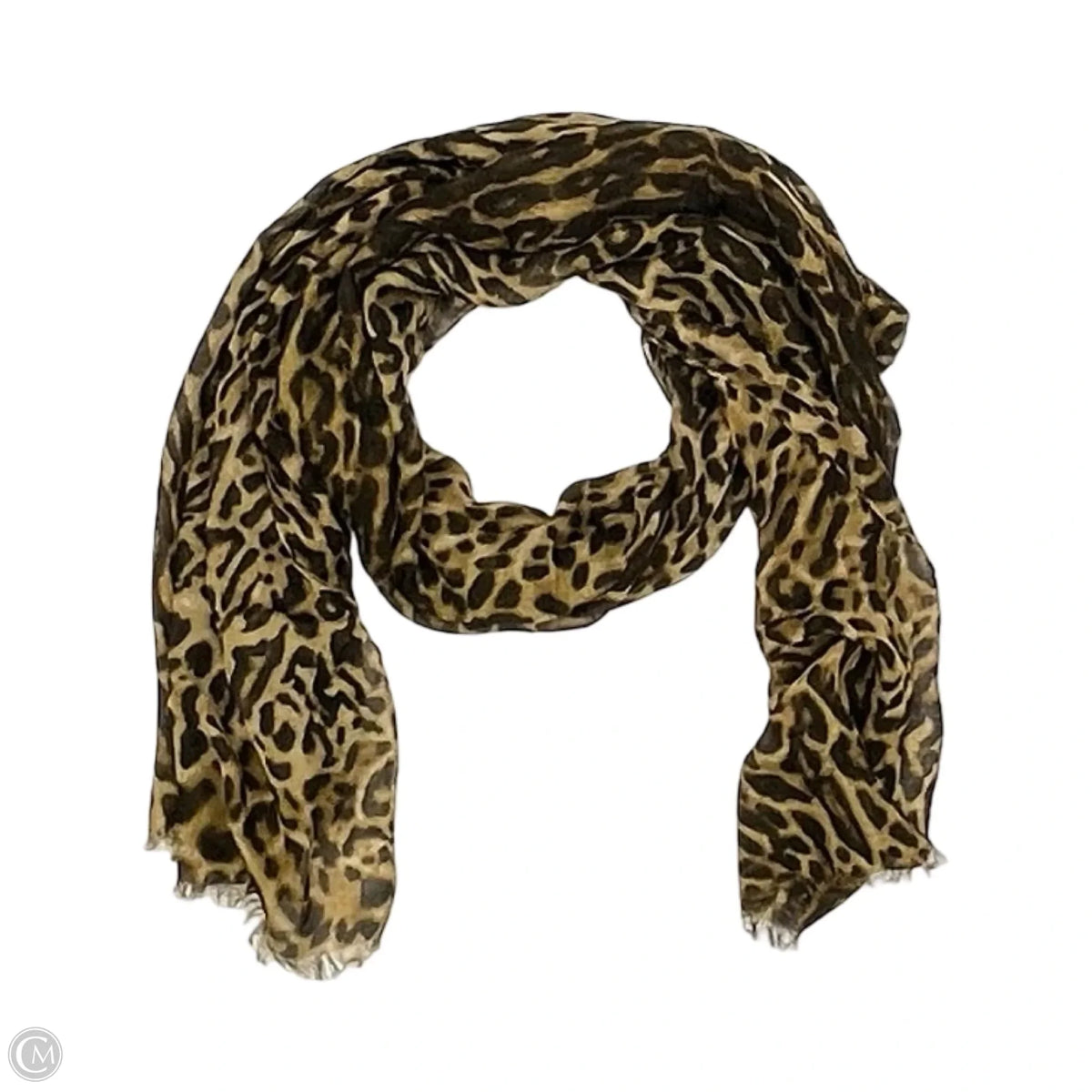 Scarf Long By Clothes Mentor