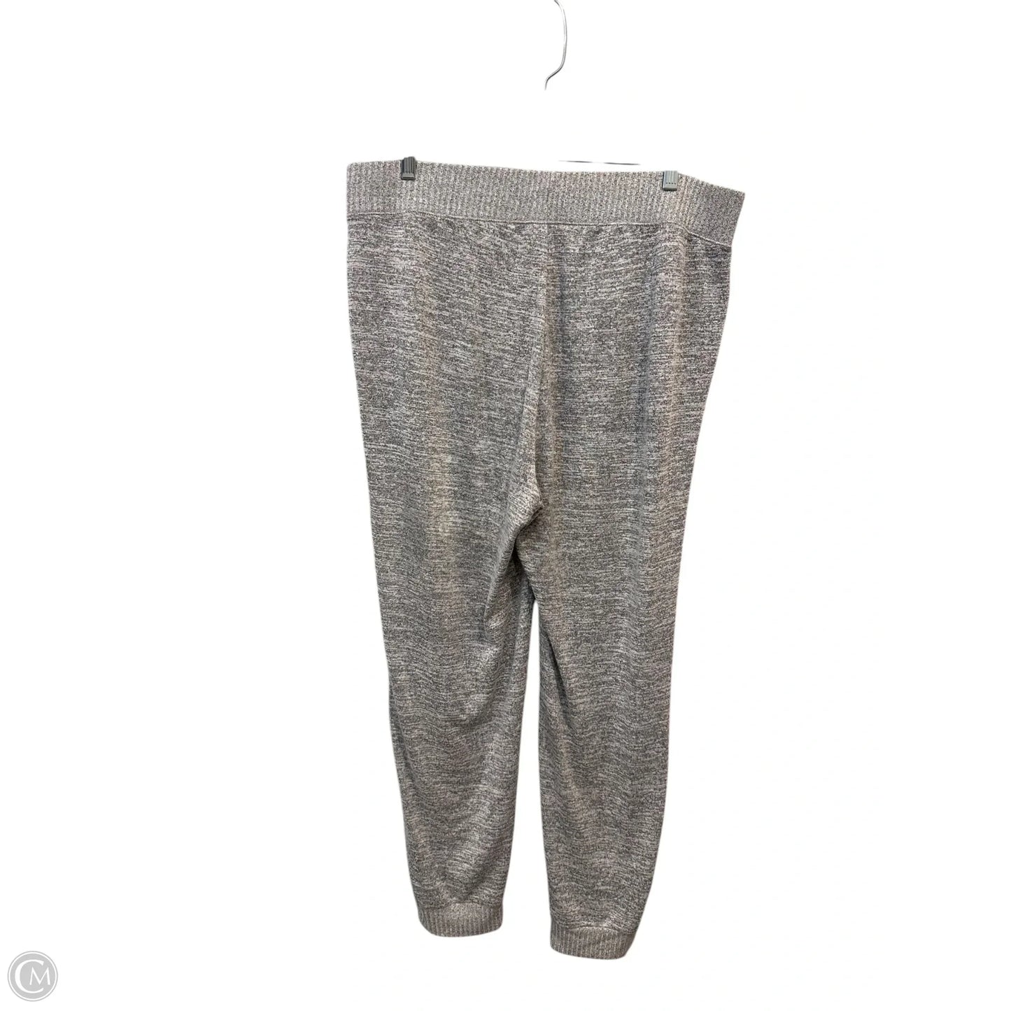 Pants Set 2pc By Zenergy By Chicos In Grey, Size: L