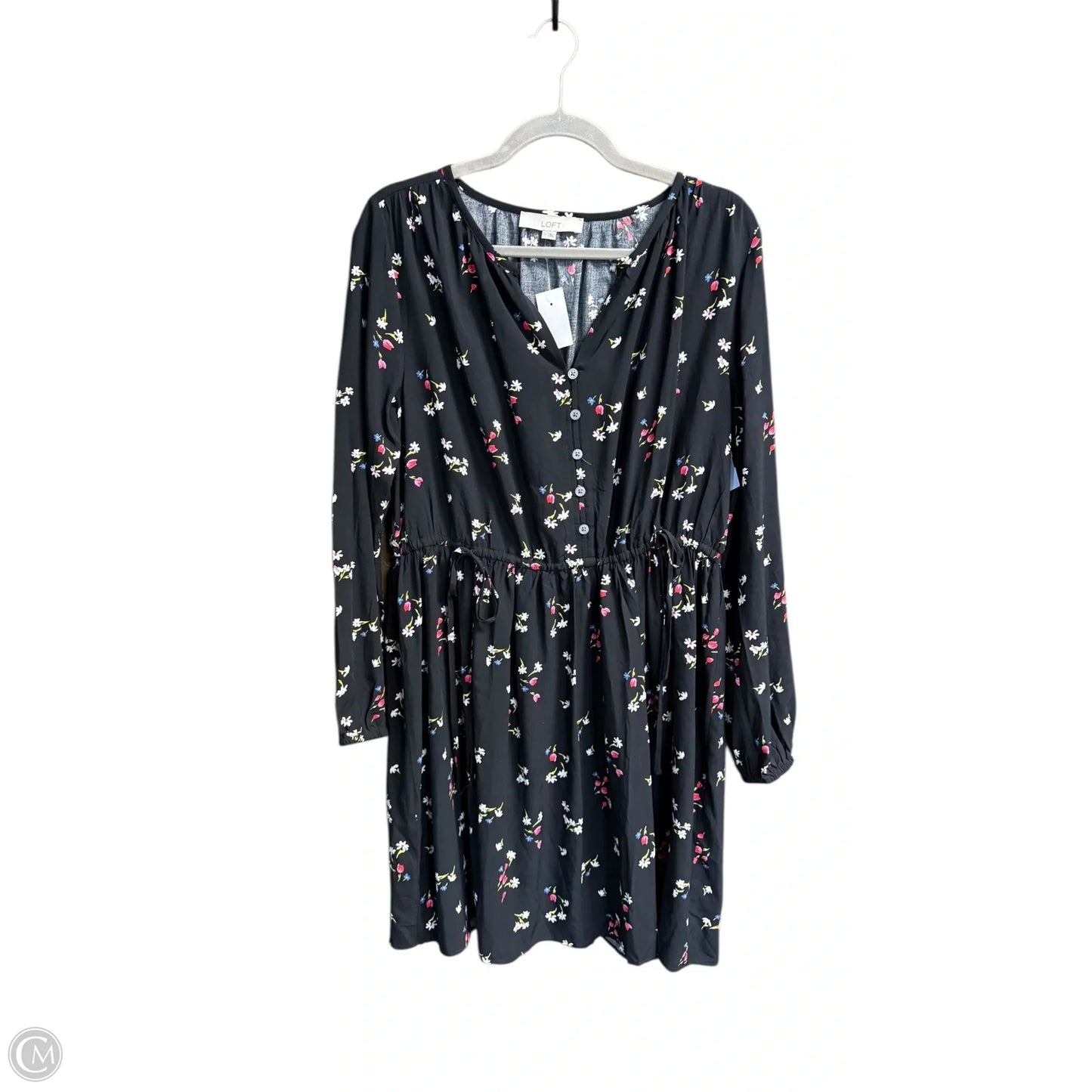 Dress Casual Short By Loft In Floral Print, Size: M