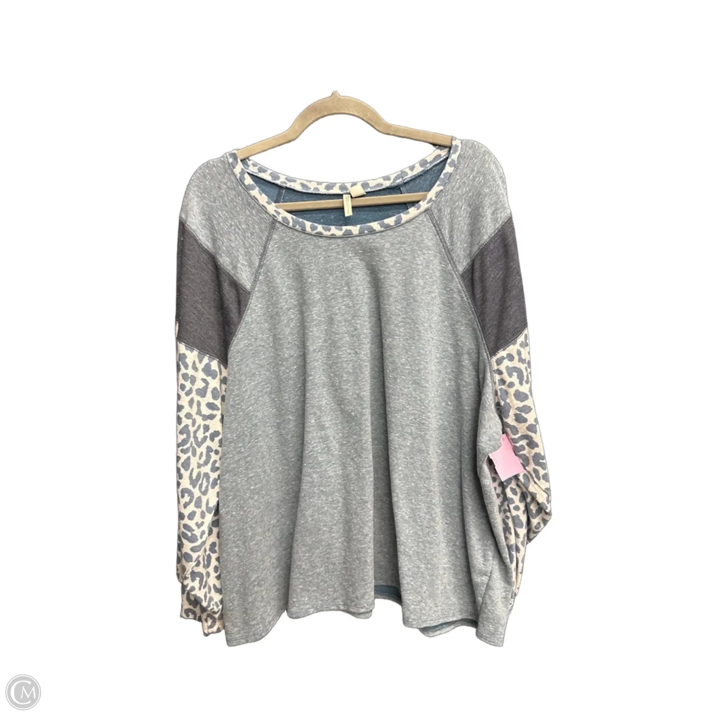 Top Long Sleeve By Cato In Blue, Size: 4x