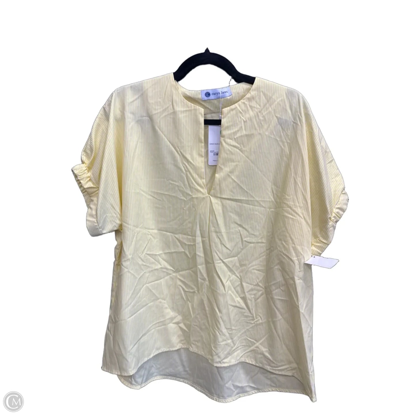 Top Short Sleeve By Clothes Mentor In Striped Pattern, Size: Osfm