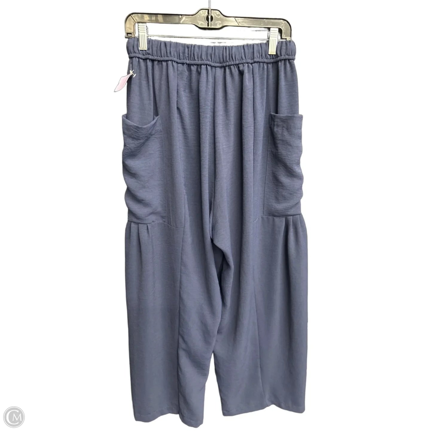 Pants Linen By Clothes Mentor In Navy, Size: 12