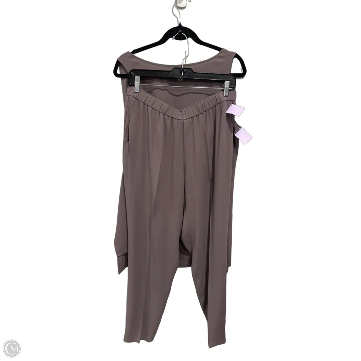 Pants Set 2pc By Eileen Fisher In Grey, Size: M