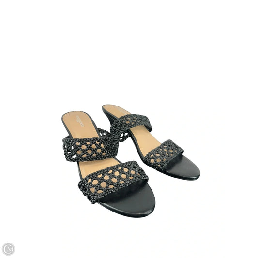 Shoes Heels Kitten By Draper James In Black, Size: 8
