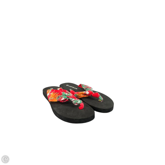 Sandals Flats By Airwalk In Multi-colored, Size: 8