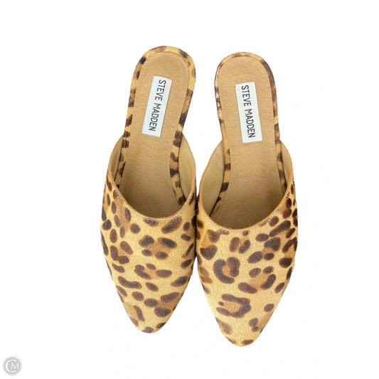 Shoes Flats By Steve Madden In Animal Print, Size: 6