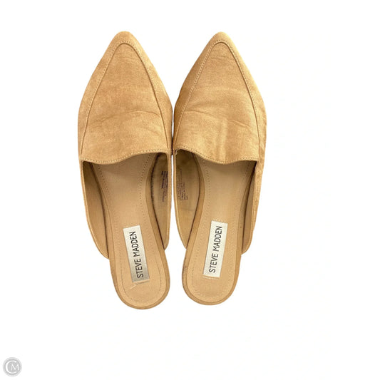 Shoes Flats By Steve Madden In Brown, Size: 7