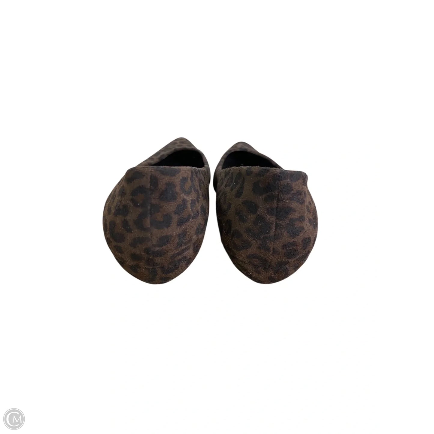 Shoes Designer By Stuart Weitzman In Leopard Print, Size: 8.5