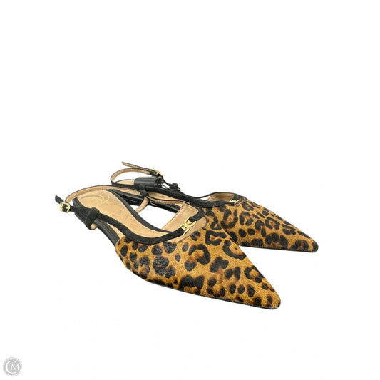 Shoes Flats By Sam Edelman In Animal Print, Size: 8.5