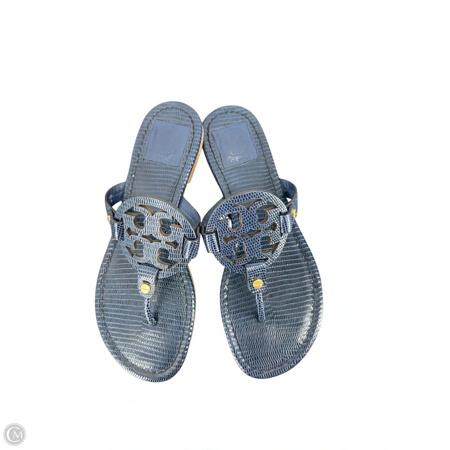 Shoes Designer By Tory Burch In Blue, Size: 7