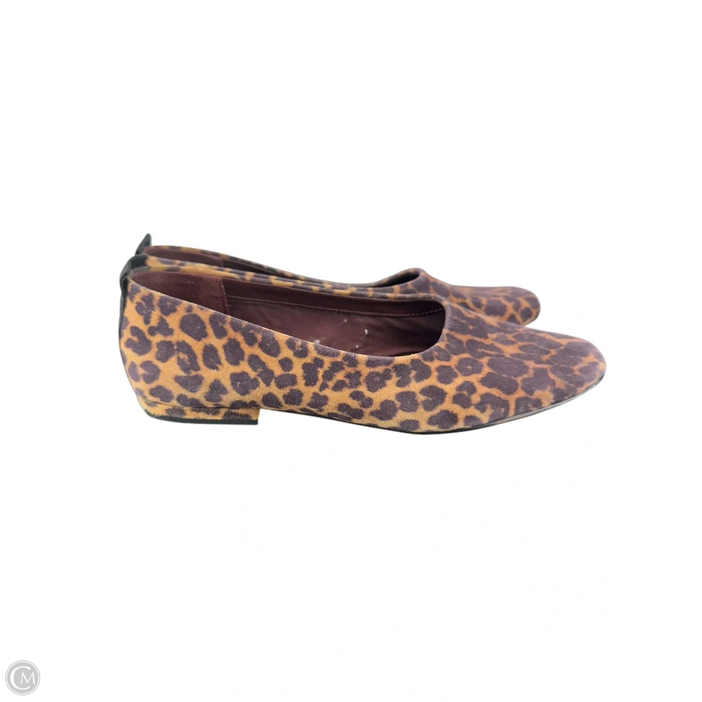 Shoes Flats By Franco Sarto In Animal Print, Size: 8.5
