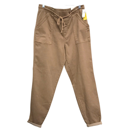 Pants Joggers By Maurices In Brown, Size:12