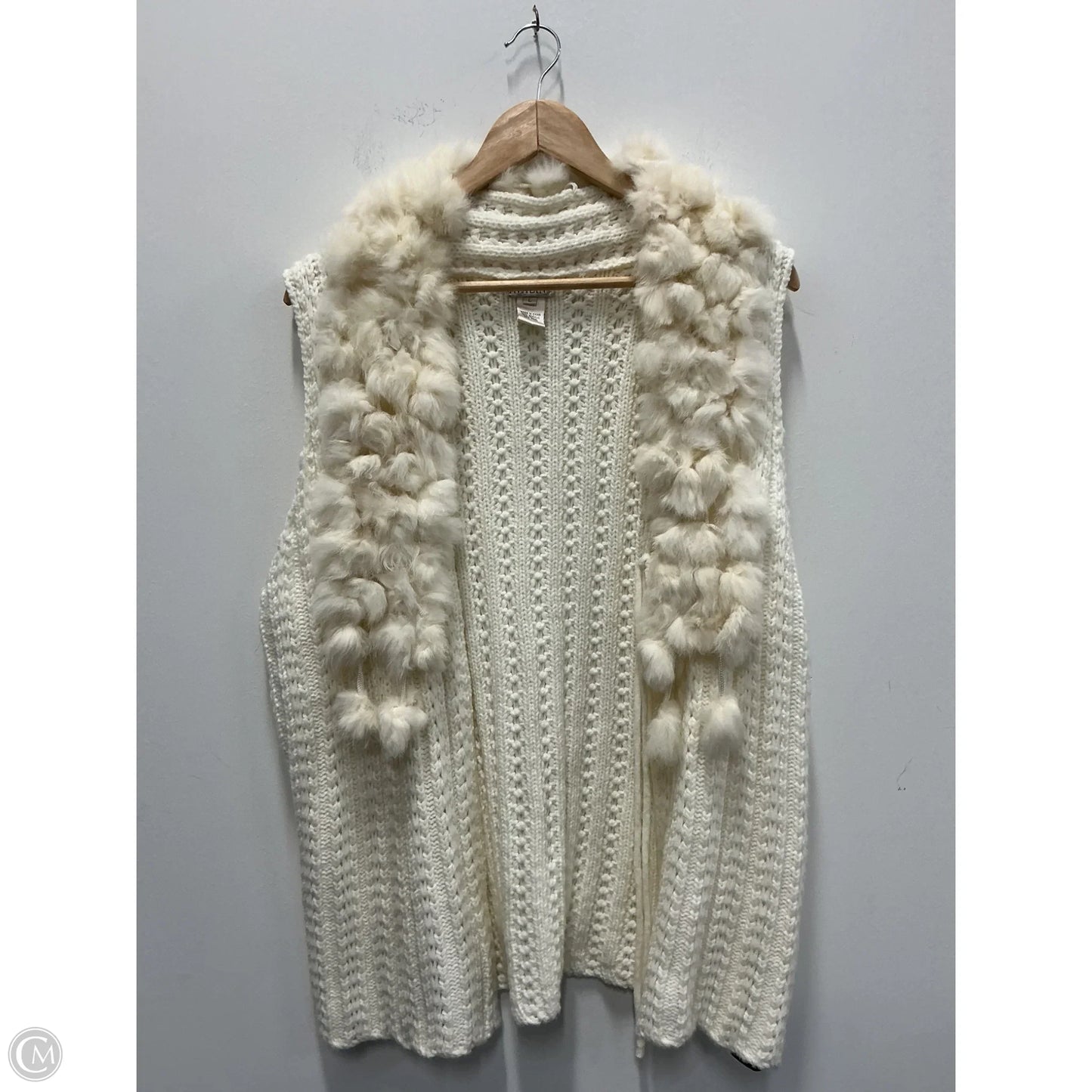 Vest Sweater By Clothes Mentor In Ivory, Size: L