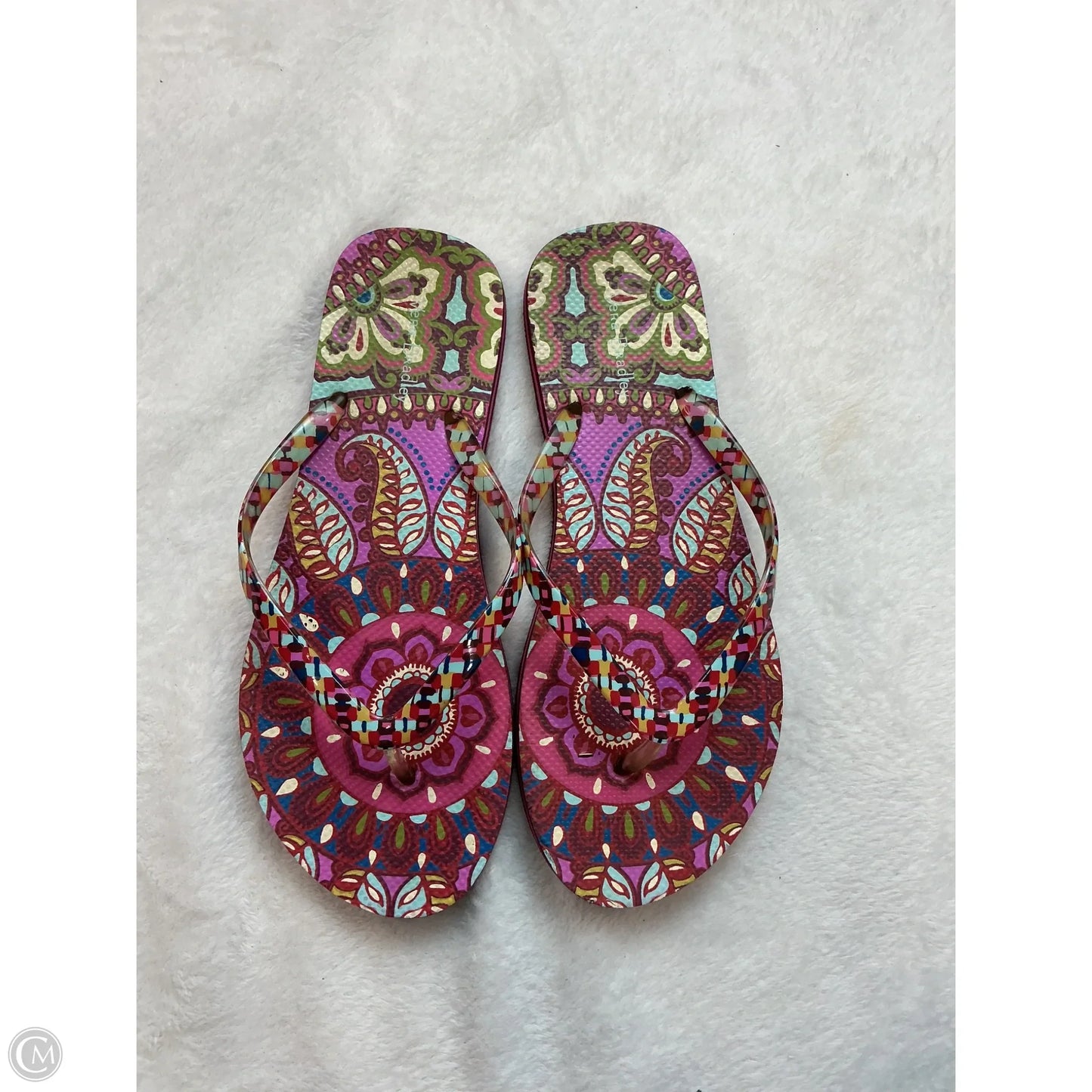Sandals Flip Flops By Vera Bradley In Purple, Size: 7.5
