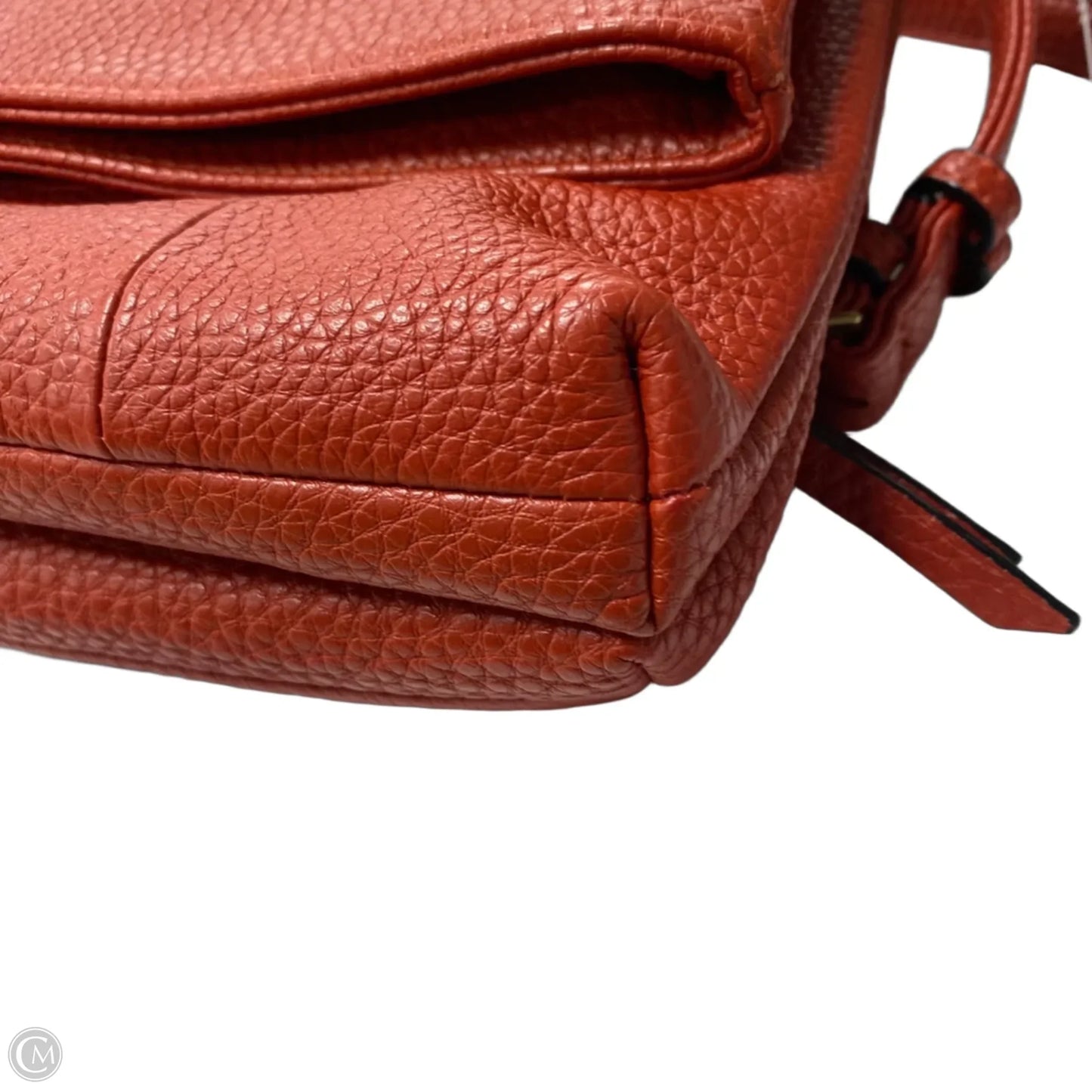 Crossbody Leather By Tignanello  Purses, Size: Medium