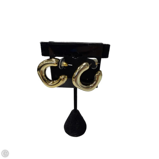 Earrings Hoop